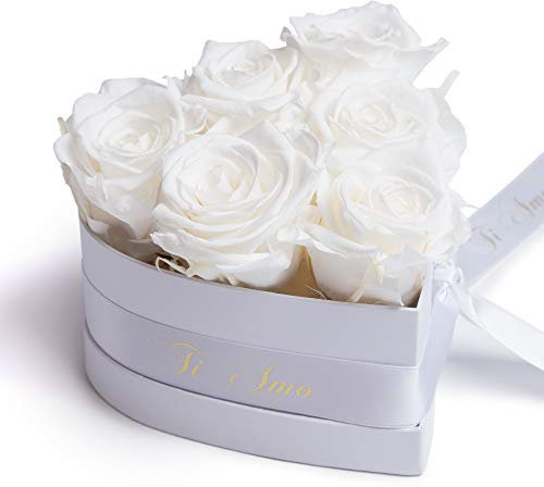ROSEMARIE SCHULZ Heidelberg Herz Box Infinity Rosenbox in Herzform konservierte Rosen Geschenk für Frauen (Ti Amo, Weiß)