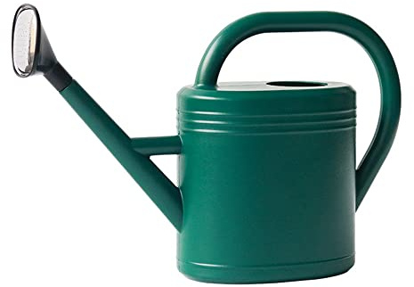 Ailovone Gießkanne Pflanzengießkanne Blumengießkanne 3 Liter Gartengießkanne aus Kunststoff zur Pflege und Bewässerung Gießkanne mit Langer Auslauf für Rasen, Innenterrasse, Büro (Grün)