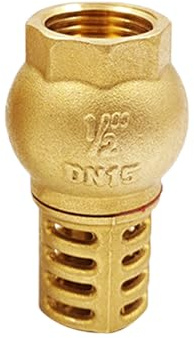 TopHomer DN15, Messing-Rückschlagventil, Einweg-Innengewinde Fußventil mit Sieb-Filter, Mesh-Rückschlagventil für gut Jet-Pumpen, Non-Return-Saugventil