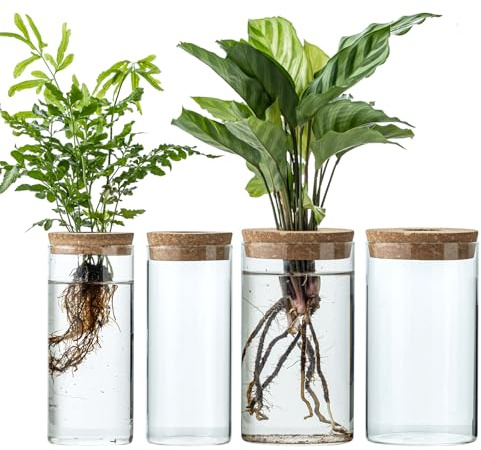 JGKYLDZ Propagation Vases for Plants, Set of 4(2 Large & 2 Small) Glass Plant Propagation Stations, Plant Propagation Jars for Home Office Windowsill Tabletop Decoration (4)