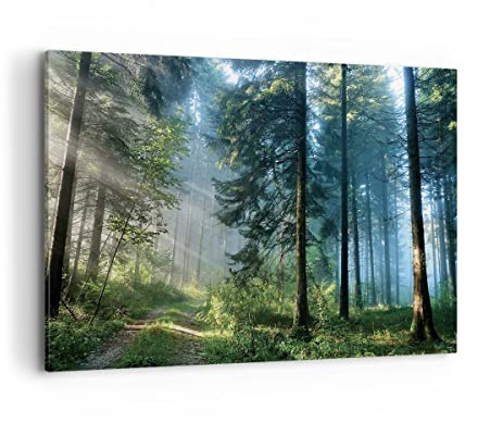 ARTTOR Bilder auf Leinwand 120x80cm Wandbild Botanik Landschaften - 4398 | Wald Dämmerung Sonne Groß XXL Wanddekoration Wohnzimmer Schlafzimmer Wanddeko Wand Kunstdruck Wandkunst Wall Decor ARTTOR