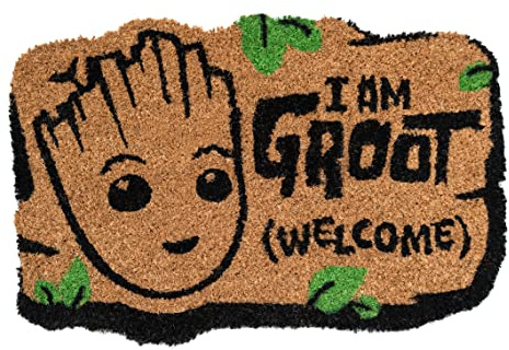 Grupo Erik - Paillasson Exterieur 40 x 60 cm Groot | Tapis Antidérapant, Tapis d'Entrée | Paillasson Extérieur Original, Paillasson Coco, Tapis Exterieur