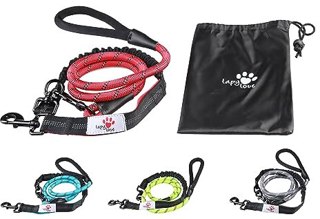 Tapylove Hundeleine - Länge ca. 2m - Robust mit Karabiner- Ruckdämpfer - komfortabel gepolsterter Griff - reflektierende Leine - Bungee Hundeleine (Grün)