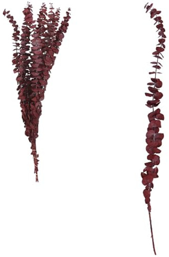 VOSTEEN 1x Rami di eucalipto 70cm Rosso Scuro - Decorazioni per vasi Aspetto Elegante e conservato - Ramo Decorativo decori Autunnali