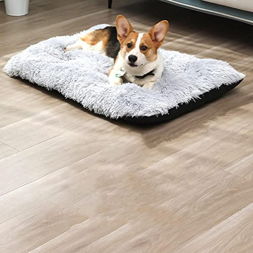 DanChen Hundebett waschbar Grosse Hundekissen Plüsch Hundekörbchen Hundematte Rutschfestem Weiches Hundesofa 53x38cm Haustierbett Wasserdicht XL für Mittelgroße Hunde Katzen-Hellgrau
