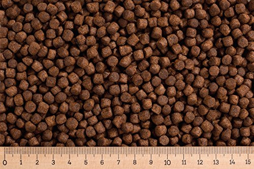 4,15 €/kg - 5 kg Premium Lachsforellenfutter 6 mm | hochwertig schwimmendes Pellet für die ganzjährige Fütterung