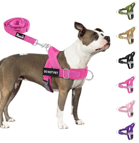 Eyein Hundegeschirr für mittelgroße Hunde mit Leine, Fleece-gepolstert | Anti-Zug Brustgeschirr mit 2 D-Ringen für Training & Spaziergänge, reflektierend, verstellbar an Hals & Brust (Magenta, M)