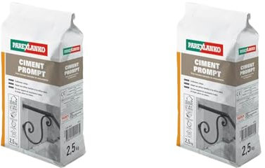 Parexlanko - Ciment Prompt - Gris - Confection de mortier à prise rapide - Tous supports de maçonnerie - Adapté en milieux humide et marin - 2,5kg (Lot de 2)