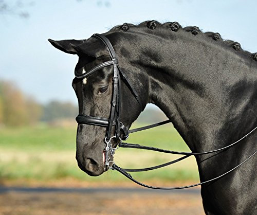 BUSSE Kandare GRAND PRIX, schwarz, Stirnband: Strass, Pony