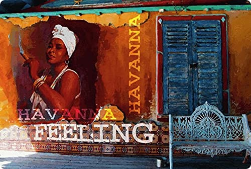 Blechschild 20x30cm gewölbt Cuba Kuba Havana Feeling Zigarren Schild