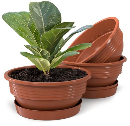 Plastard Pflanzschale mit Untersetzer im 3er Set in Terrakotta 32 cm Durchmesser große runde Blumenschalen aus Kunststoff für Garten Terrasse Wohnung für Aussen und Innen Schalen Pflanztopf