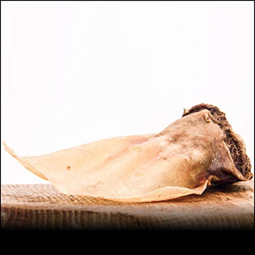 Rinderohren mit Muschel - 10Stk - von George & Bobs - | XXL Muschel | DEUTSCHE Ware