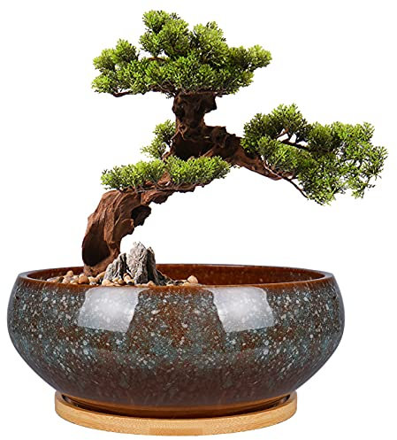 EPFamily Bonsai-Pflanztopf aus Keramik, glasiert, flach, Sukkulenten-Übertopf mit Ablaufloch und Untersetzer aus Bambus für Zimmerpflanzen, 20,3 cm, Braun
