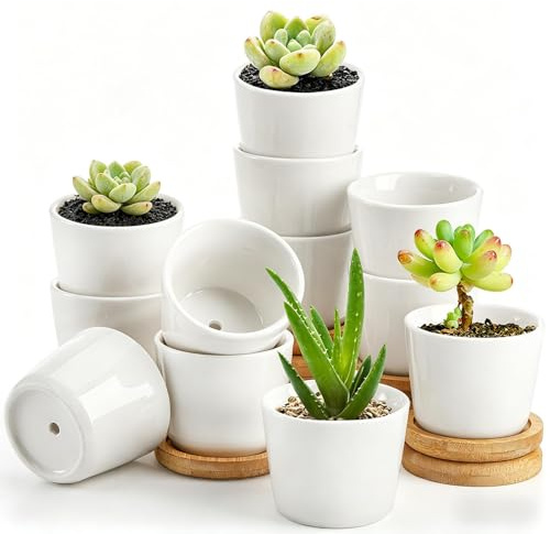 Tosnail 12 Stück 2.5 Zoll kleine Sukkulententöpfe mit 12 Bambusschalen, runde weiße keramische Mini Pflanztöpfe, winzige Sukkulenten Pflanzgefäße, Kaktus, Blume, Luftpflanzenbehälter