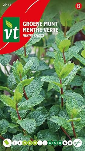 Peppermint Herb Seeds