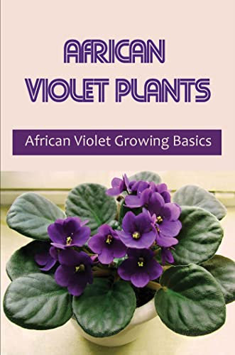 African Violet Plants: African Violet Growing Basics