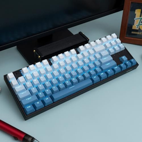 PBT Doubleshot Tastenkappen mit Hintergrundbeleuchtung Farbverlauf blau OEM Profil Tastenkappen Kompletter Satz 123 Tasten Custom Keyboard Keycaps für Cherry Gateron MX Switches Mechanische Tastatur
