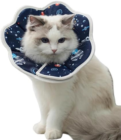 ZLXFT Halskrause Katze,Halsband für Haustiere,Einstellbar Hundekragen,Schutzhalsband Kegelhalsbänder,Schutzmaßnahmen Schutzkragen Hund,Hunde Halskrause Leckschutz für Hunde,Vorbeugung von Biss