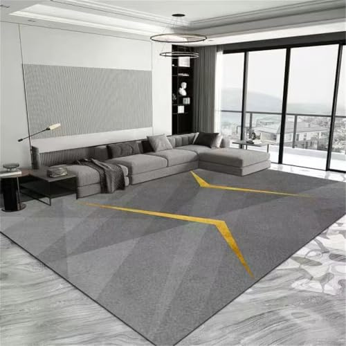 QGYFRE Large Square Floor Cushions Velvet Schallschutz Teppich Weicher 160x200CM XXL Grau Goldfarbener, leicht zu pflegender waschbarer kinderzimmer