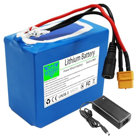 WSDAV Batería de Iones de Litio Recargable de 12 V y 24 V, 10 Ah, 15 Ah y 20 Ah con Cargador para Kit de conversión de Motor de 0 a 500 W.,24v10ah(29.4v)