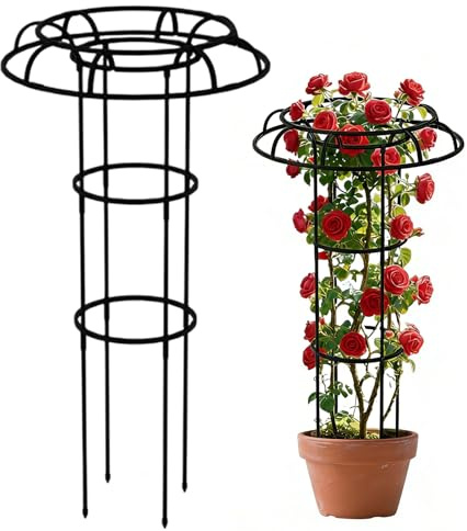 Garten Rankhilfe zum Klettern, Vertikale Allwetter Regenschirmform, Topfpflanzenstütze Gartenspalier, für Fensterbank Innenhof Gewächshaus Balkon Reben Erbse Tomate Clematis Blumen