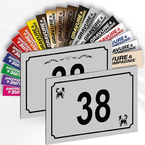 Hausnummer Schild – Dekorative personalisierte PVC Außenplatte mit gravierter Nummer & Motiv – Befestigung nach Wahl (Klebefolie oder Schrauben) – 15 x 10 cm (Mattgrau + Design)
