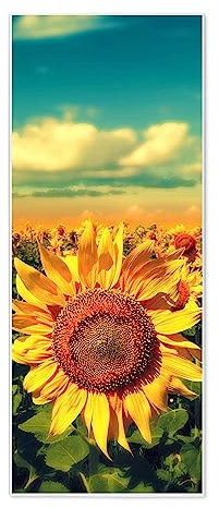 banjado® Magnettafel 30 x 75cm / Magnetwand aus Metall/Magnetpinnwand als Memoboard/Pinnwand Magnettafel Küche, Büro, Kinderzimmer inkl. 4 Magnete & Montageset - Motiv Sonnenblumen