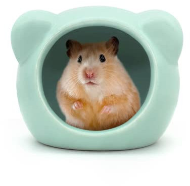 Andiker Hamsterhaus aus Keramik, niedliche Tierform, Hamsterhöhle, Sommer, cooles Kleintierversteck Lebensraum Dekor für Zwerghamster, Rennmäuse, Chinchilla, goldener Seidenbär (grün)