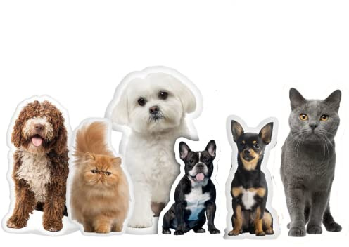 Eletizy Custom Pet Shaped Pillows, Personalized Funny Pillow with Pet/Picture/People, Double Side 3D Printing Photo, for Birthday, Thanksgiving, Christmas, Valentine's Day, Halloween 10inch