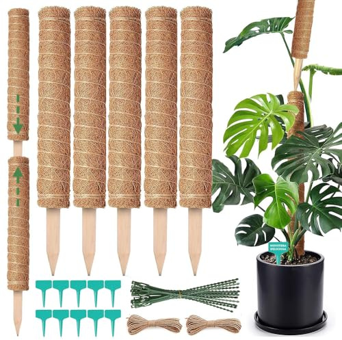 5 Stück Monstera Rankhilfe 42cm, Moosstab Monstera, Biegbare Moosstab, Kokosnuss Stab Flexibel, Monstera Stabilisierung, Rankhilfe aus Kokosfaser, Moss Pole Plant, für Kletterpflanzen im Innenbereich