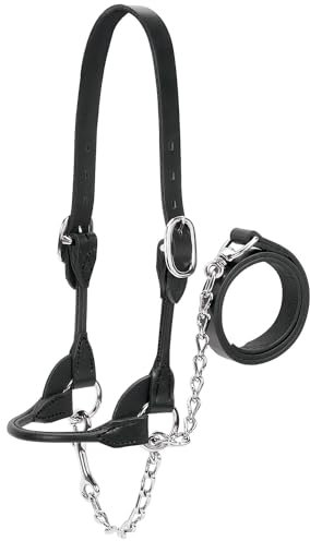 Weaver Halfter für Milch- und Rindsleder, abgerundet, 90-0500, Schwarz, XS