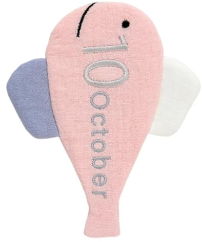 Jouet pour nouveau-né mensuel lettre jalons Carte de photographie de bébé Accessoires pour premier anniversaire et 100 jours de fête Accessoires de photographie de bébé