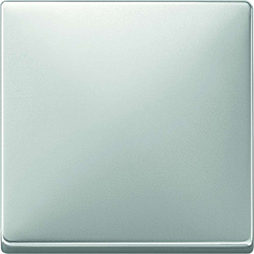 Merten 412146 Wippe, Edelstahl, System Fläche