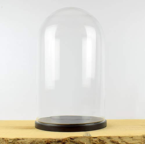 EMH Große handgefertigte mundgeblasene Glaskuppel mit Holzsockel, 52 x 31 cm