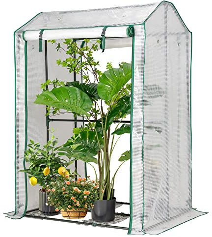 RELAX4LIFE Gewächshaus Klein, Tomatengewächshaus Winter Pflanzenschutz Foliengewächshaus, Tomatenhaus mit Bodennägel für Gemüse Blumen Balkon Garten (100 x 81 x 150 cm, Transparent)