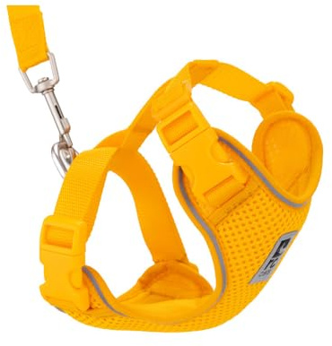 RC Pets Adventure Kitty Cat Harness | Adjustable Airmesh Vest with D-Ring and 6ft Leash for Walking and Travel | Marigold, Medium