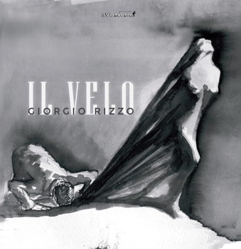 Il velo. Ediz. illustrata