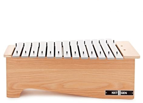 Premier NXT GEN Alto Metallophone, Diatonic | Individually Labelled Bars for Easy Play, Spare Bars for C F and G Keys, Great for Schools, Alto Metallophone C4-A5