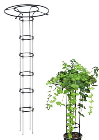 Obelisco da giardino, 210 cm, supporto per piante rampicanti, supporto da giardino per piante rampicanti