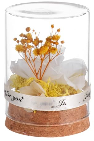 GRIRIW Rose Éternelle sous Cloche Verre Décorative pour Maison et Bureau Fleur Préservée pour Cadeau Saint-Valentin