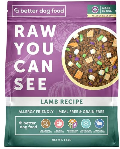 A Better Treat | Allergy Friendly Lamb Dry Dog Food | Raw You Can See | No Chicken, Lamb Only Animal Protein, No Meal Ingredients, Grain Free | Stomach Soothing Kibble + Freeze Dried Raw Dog Food