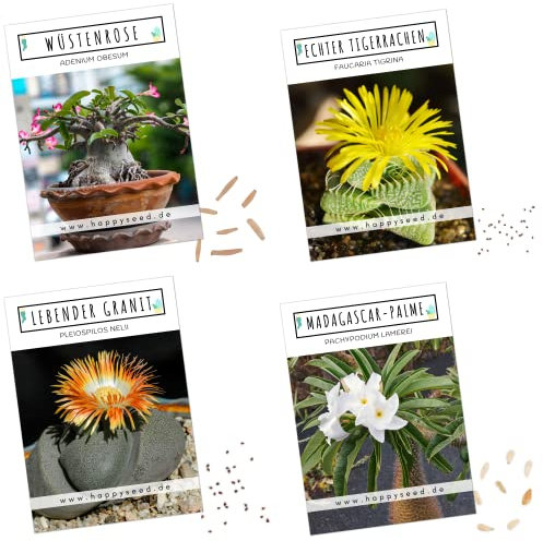 Exotische Kakteen Samen mit hoher Keimrate - Sukkulenten Samen Set für deinen eigenen wunderschön blühenden Kaktus (4er Set Samen Mix)