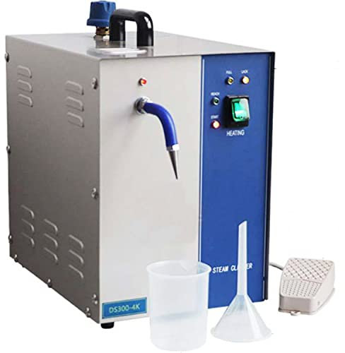 Qiang Nettoyeur à Vapeur pour Bijoux 2L 1300W/4L 2200W Nettoyeur de Pierres précieuses en Acier Inoxydable Nettoyeur de Bijoux à Vapeur électrique,4L
