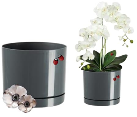 LiveLaif®- Macetas Decorativas Interior | Macetero Moderno con Plato | Macetas plastico, Tiestos para Plantas Interior, Exterior, orquideas, suculentas, etc | Resistentes y Ligeras (Gris, Ø14cm)