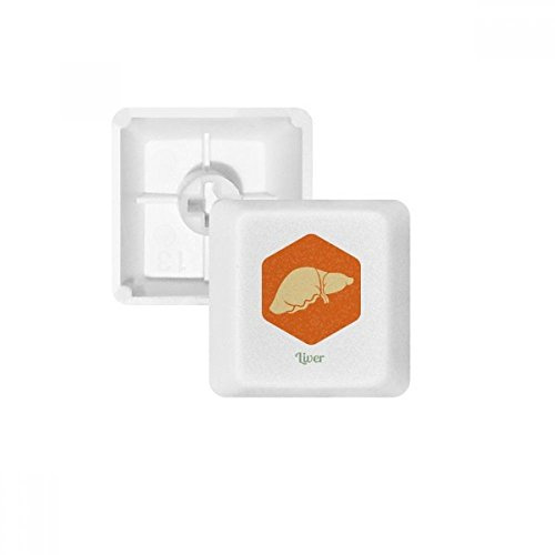 Body Organs Liver Orange PBT Keycaps for Mechanical Keyboard White OEM No Marking Print