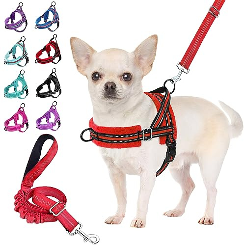 Eyein Small Dog Harness and Lead Set, No Pull Soft Vest with Front Clip | Anti Pull, Soft Padded No Choke, Neck Chest Adjustable, Reflective, Easy for Walk for Small Puppy Cat Kitten (Red, XXS)