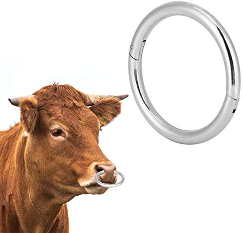 Gavigain Rinder Nasenring, Stier Kuh Nasenring Rinder Clip Eisen Vieh Veterinär-Ausrüstung (100mm)