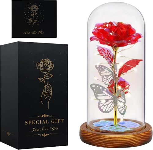 Seachrgif Ewige Rose im Glas,Muttertagsgeschenk für Mama Die Schöne und Das Biest Rose,Geschenke für Frauen, Freundin, Ehefrau,Schwiegermutter,Romantische Geschenke Infinity Rose,Glasrose(Rot)