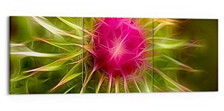 Wandbilder Dekoration Wohnzimmer Grafik Blume Pflanze Licht leuchten Bilder auf Leinwand 150x50cm Leinwandbild Schlafzimmer Set 3 teilige Kunstdruck Art Groß XXL Wanddeko Bild Canvas CA150x50-0329