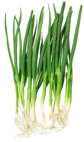 JustSeed - Vegetable - Spring Onion - White Lisbon - 800 Seeds - Economy Pack